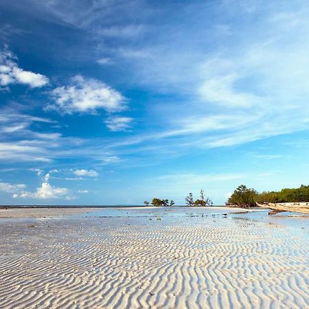 Palm Tree Guesthouse Siquijor Dış mekan fotoğraf