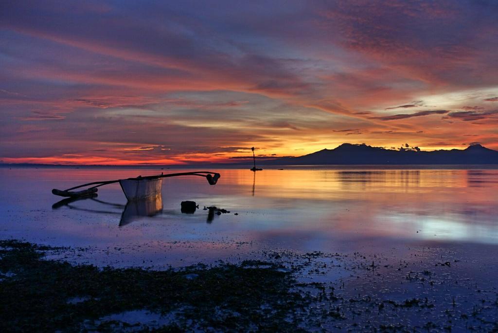 Palm Tree Guesthouse Siquijor Dış mekan fotoğraf